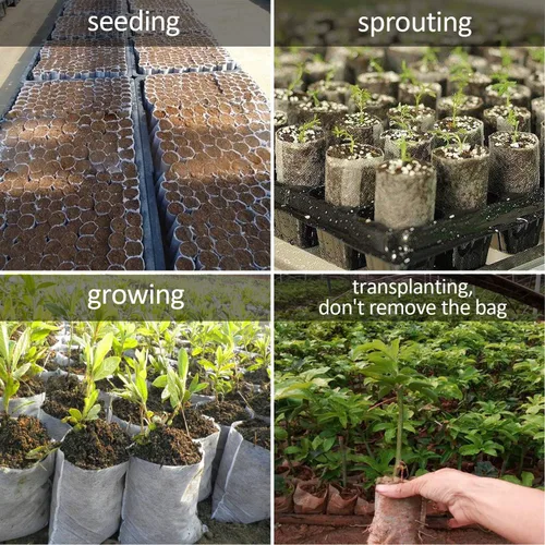 Vista 6 de Augshy Bolsas de cultivo de vivero, 400 bolsas de tela para plantas, bolsas de cultivo de plantas no tejidas, bolsa de inicio de siembra, plantas