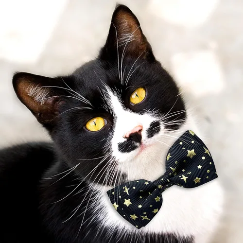Vista 5 de Pohshido Paquete de 2 collares de gato con pajarita y campana, collar de gatito estrellado para machos, hembras, niños y niñas, gatos (rosa y negro)