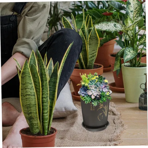 Vista 9 de 3 Sets Plastic Orchid Planter Pots, Modern Airflow Nursery Containers