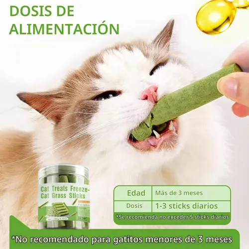 Vista 2 de Palitos de dentición de hierba natural para gatos, palillo masticable para eliminar bolas de pelo