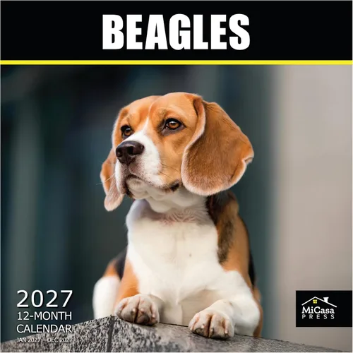 Vista 85 de MICASA PRESS Calendario de pared de Australian Shepherds Aussies 2027 02 - Pastores australianos