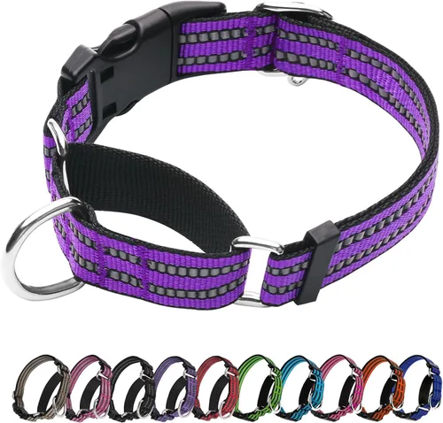 Vista 19 de Martingale - Collar reflectante de nailon ajustable con hebilla de liberación rápida, collares de entrenamiento para perros pequeños, medianos