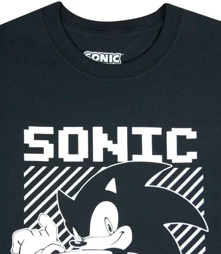 Vista 2 de Sonic The Hedgehog