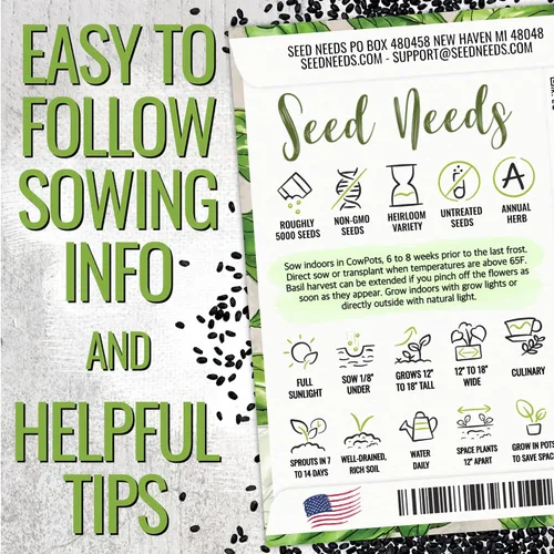 Vista 3 de Seed Needs Semillas de albahaca para plantar hierbas de albahaca tailandesa, reliquia sin OMG y sin tratar, cultiva un jardín de hierbas culinarias