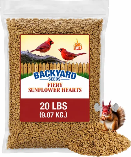 Vista 21 de CountryMax Backyard Seeds Semillas de Girasol de Aceite Negro (10 libras) Thin Shells, Cardinal Favorite, High Energy & USA Sourced. For Ground