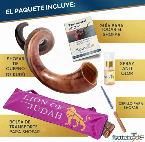 Vista 6 de HalleluYAH Kudu Shofar medio pulido Kosher original De Israel