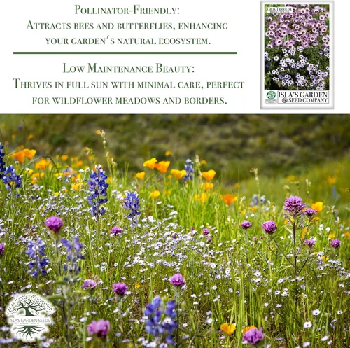 Vista 5 de Gilia Semillas de flores de ojo de pájaro para plantar, más de 2500 semillas de flores por paquete, semillas de jardín de Isla