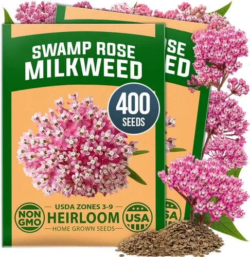 Vista 26 de HOME GROWN Semillas de Hollyhock de doble mezcla de Chater, 200 semillas
