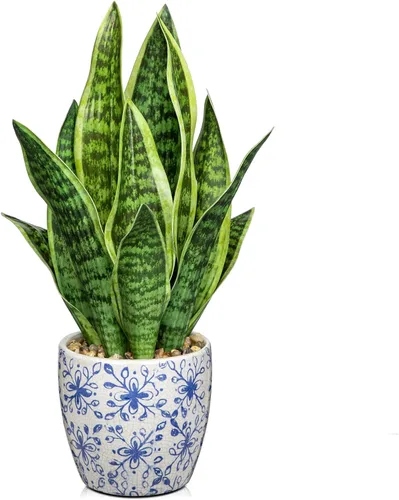 Vista 12 de Hollyone Planta de serpiente falsa de 12 pulgadas, pequeña planta de serpiente artificial en maceta con maceta de cerámica, planta Sansevieria
