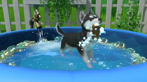 Vista 10 de Little Friends - Puppy Island