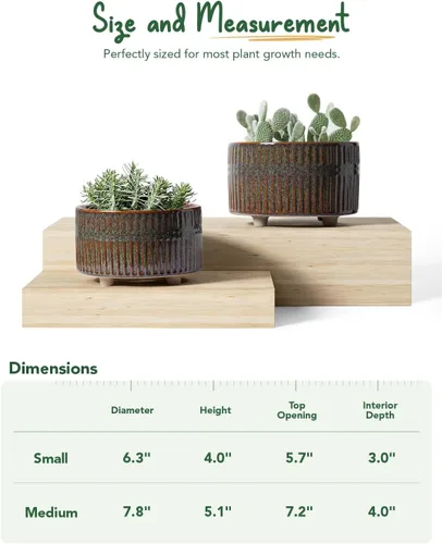 Vista 6 de LE TAUCI Macetas para suculentas, macetas de cerámica de 6.5+8 pulgadas para plantas de interior, macetas redondas poco profundas para suculentas