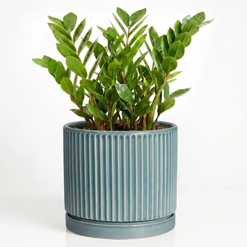 Vista 38 de 8 Inch Flower Pot, Ceramic Planters, Round Plant Pot, Beige