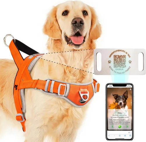 Vista 9 de ADVENTUREMORE Arnés para perro pequeño sin tirones con etiqueta de código QR, chaleco reflectante, asa de clip frontal para entrenar caminando