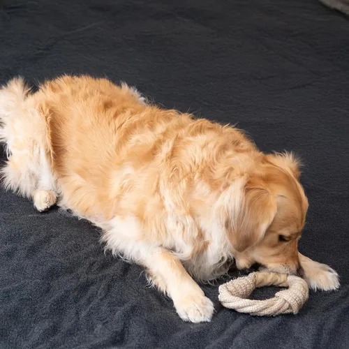 Vista 12 de SPOT Dura-Fused - Anillos de cuero de animales – Juguete de cuerda para perro, hecho con cuero real y tela de yute, anillo de cuerda duradero es