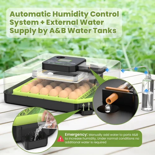 Vista 4 de Incubadora de 48 huevos para incubar huevos con giro automático de huevos, control de temperatura y humedad, incubadora de huevos con ventana