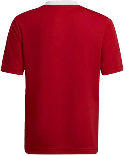 Vista 3 de adidas Entrada 22 - Camiseta para niños