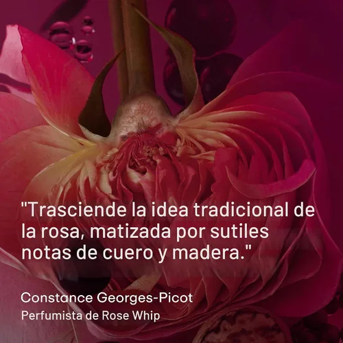 Vista 5 de PHLUR Rose Whip Eau de Parfum – Perfume de tamaño completo – Perfume floral afrutado con rosa, grosella negra, pimienta rosa, nuez moscada, madera