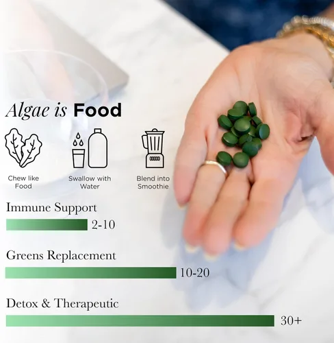 Vista 6 de RECOVERYbits - Tabletas orgánicas de Chlorella - Superalimento de algas a base de plantas - Clorofila - Pared celular agrietada - Energía - Sistema