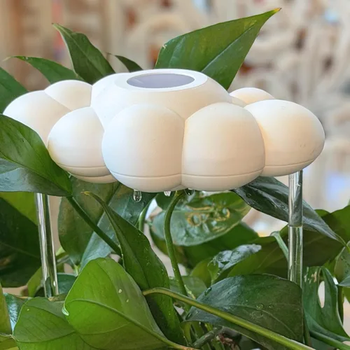 Vista 6 de La Nube Original de Lluvia Goteante para Plantas, Nube de Lluvia para Riego de Plantas, Regalos para Amantes de las Plantas, Regalos para Mujeres