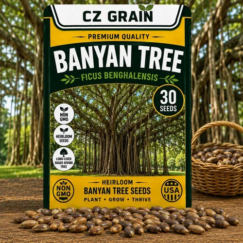 Vista 17 de CZ Grain Semillas para plantar, 40 pequeñas mezclas de calabaza