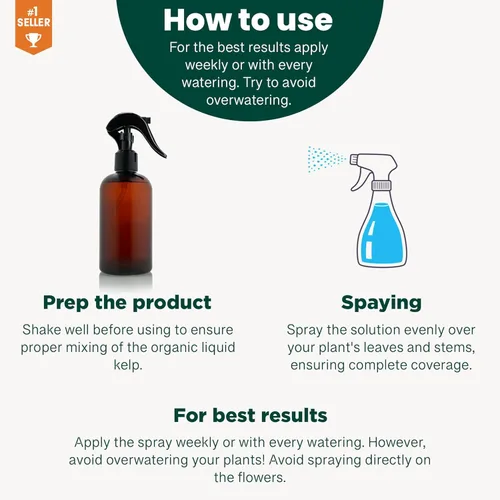 Vista 7 de GARDENERA Spray orgánico profesional de algas marinas para plantas AGLAONEMA – 8 oz – Rocío fertilizante de algas marinas y algas marinas totalmente