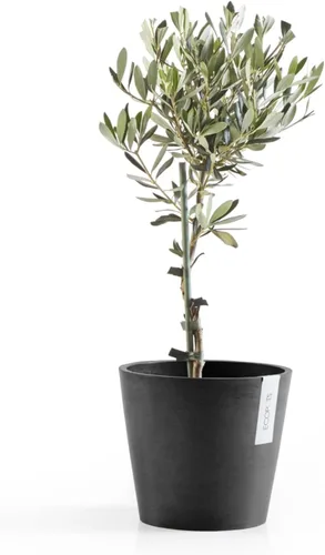 Vista 5 de Ecopots Amsterdam - Maceta redonda para flores, color gris oscuro, 8
