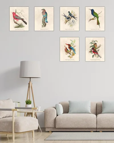 Vista 6 de Nilem Design Arte de pared vintage de pájaros, juego de 6 impresiones sin marco de 8 x 10 pulgadas, carteles de ilustración de naturaleza antigua