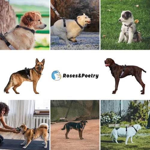 Vista 6 de Roses&Poetry Juego de arnés y correa para cachorros y perros, arnés para perros sin tirones ajustable reflectante, arneses de halter para perros
