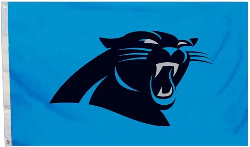 Vista 10 de Fremont Die NFL unisex 2-Sided Team Foot Flag With Grommets