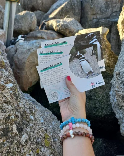 Vista 5 de Fahlo Pulsera de seguimiento de pingüinos elástica compatible con la Sociedad Global de Pingüinos talla única para hombres y mujeres Piedra Sin gemas
