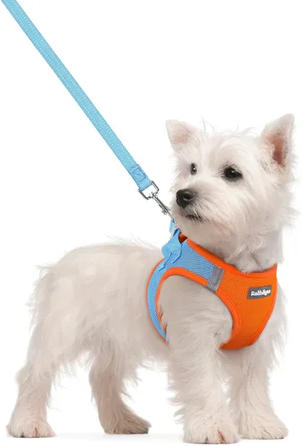 Vista 150 de rabbitgoo Arnés para perro de tamaño pequeño y juego de correa, chaleco Cachorros de manzana