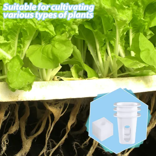 Vista 6 de Hoolerry El kit de sistema de cultivo hidropónico de 100 piezas incluye 50 cestas de cultivo hidropónicas y 50 esponjas cuadradas, iniciador
