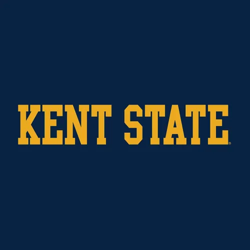 Vista 2 de Kent State Golden Flashes Basic Block, Team Color T Shirt, College, University