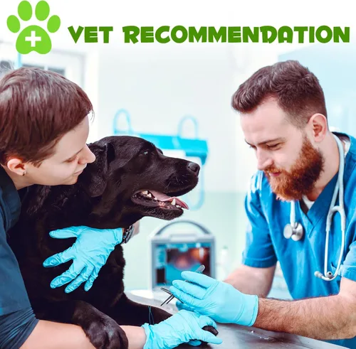 Vista 9 de Probióticos para perros, probióticos 3 en 1 para perros, probióticos para perros para apoyo digestivo, suplementos probióticos para perros