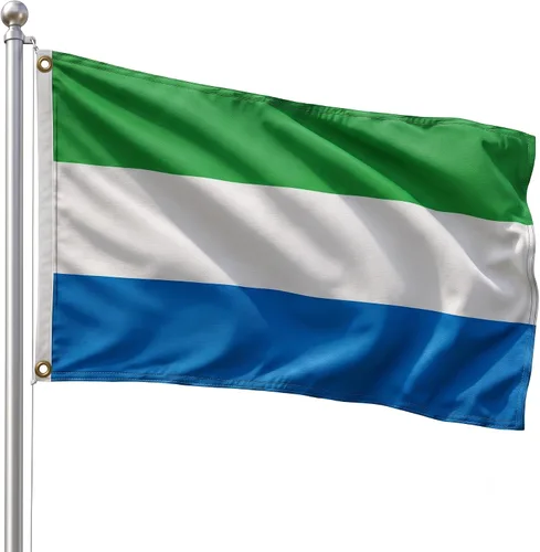 Vista 52 de DMSE - Bandera nacional beninesa beninesa de la República de África Occidental, 2 x 3 pies, 100 % poliéster, 100 % poliéster, resistente a los rayos
