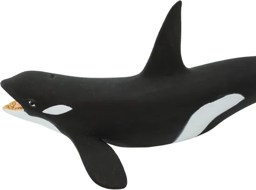 Vista 5 de Safari Ltd. Figura de ballena asesina (Orca) – Figura detallada de modelo de plástico de 7 pulgadas – Divertido juguete educativo para niños, niñas