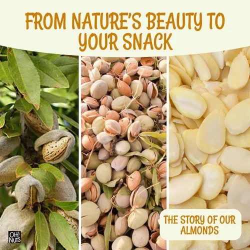 Vista 6 de Oh! Nuts - Almendras crudas en rodajas de 1.5 libras, sin sal, calidad premium Raw almonds sliced - Blanched almond slivers, unsalted almonds