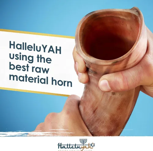 Vista 4 de HalleluYAH Kudu Shofar medio pulido Kosher original De Israel