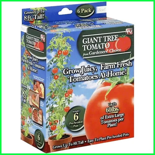 Vista 7 de Gardeners' Choice - Árbol de tomate gigante