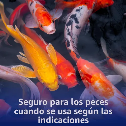 Vista 5 de API POND ALGAEFIX - Botella de 8 onzas para control de algas