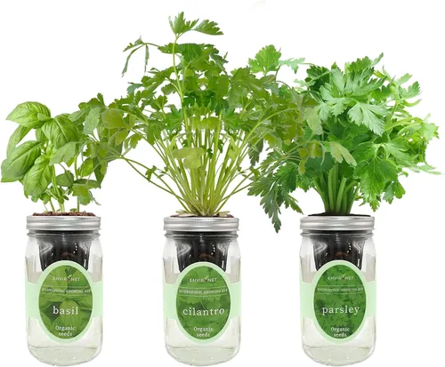 Vista 9 de Kit de cultivo de hierbas hidropónicas, tarro de masón de riego automático para jardín, kit de inicio de jardín de hierbas para interiores, jardín