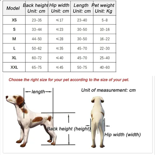 Vista 2 de Silla de ruedas para perros para patas traseras, silla de ruedas para perros, silla de ruedas para mascotas con patas, suministros para pasear