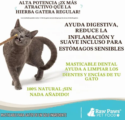 Vista 2 de Raw Paws Silvervine Sticks para gatos (paquete de 30) – Silvervine juguete para gatos de interior – Palitos de hierba gatera – Palo masticable