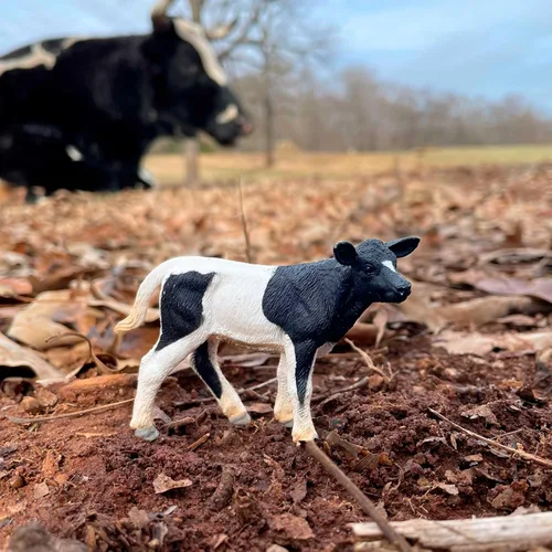 Vista 2 de Safari Ltd. Holstein Figura de ternero – Figura detallada de plástico de 3.25 pulgadas – Divertido juguete educativo para niños, niñas y niños a