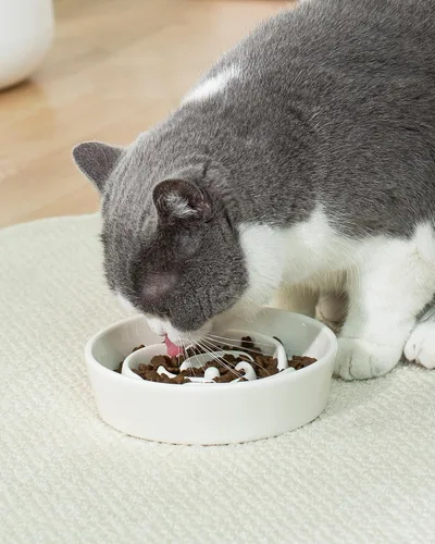Vista 2 de TRUVIC Cuencos de alimentación lenta de cerámica para perros de raza pequeña, tazón de alimentación lenta de 0.6 tazas para gatos que comen rápido