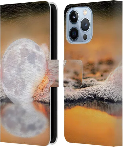 Vista 13 de Head Case Designs Officially Licensed Dave Loblaw Boy Painting Moon Clouds Sci-Fi and Surreal Leather Wallet Case Compatible with Apple iPhone 13 Pro