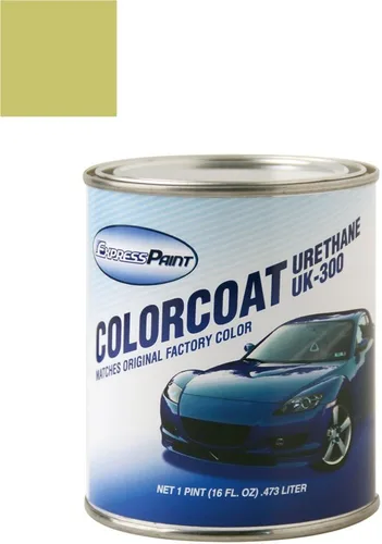 Vista 69 de Daewoo Leganza Automotive Pintura de Retoque