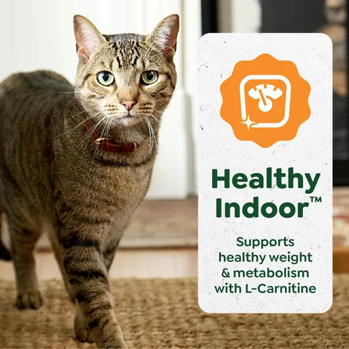 Vista 5 de Greenies Feline Smart Purees Golosinas Lickables Saludables para Interiores para Gatos con Pollo Real, Tubos de 0.49 oz., 4 Unidades (Paquete de 11)