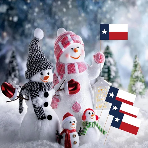 Vista 5 de Bandera de palillo de dientes de Texas State de Texas, tamaño pequeño, para cupcakes de frutas, decoración de palitos de alimentos, paquete de 100