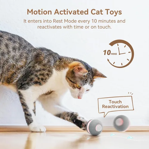 Vista 6 de Cheerble Juguetes interactivos para gatos de interior, juguete automático para gatos de interior aburridos, juguetes eléctricos para gatitos con Gris